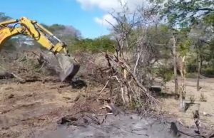 Academia de Ciencias reclama protección para el Monumento Natural Dunas de Bani