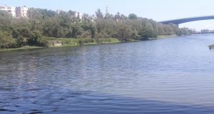 Impacto del COVID-19 en la calidad Ambiental