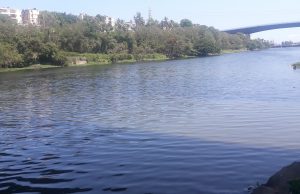 Impacto del COVID-19 en la calidad Ambiental