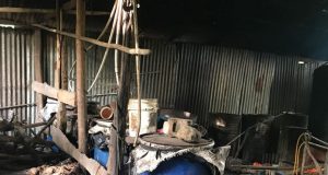 el consumo de clerén podría matarte