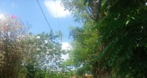 Cierran comunidad en Villa Altagracia