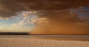 Polvo del Sahara