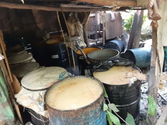 personas intoxicadas por consumo de clerén