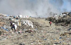 el sector que más emisiones de CO2 genera