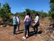 Senador electo provincia Peravia, visita proyecto de mangos en Villa Fundación colapsado por deudas Villa Fundación