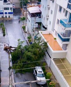Los efectos de la tormenta tropical Isaías