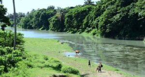 Urge la firma de un pacto nacional para la preservación del agua preservación del agua