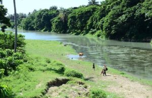 Urge la firma de un pacto nacional para la preservación del agua preservación del agua