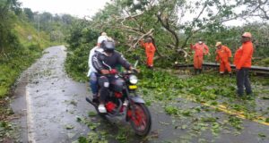 brigadas en calles