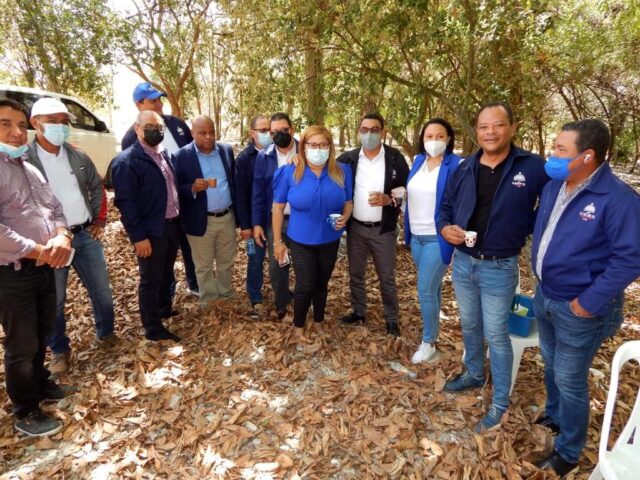 obra de electrificación