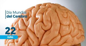 enfermedades neurodegenerativas