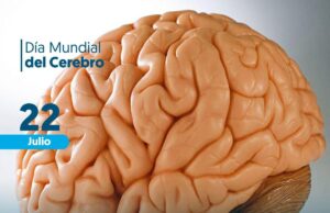 enfermedades neurodegenerativas