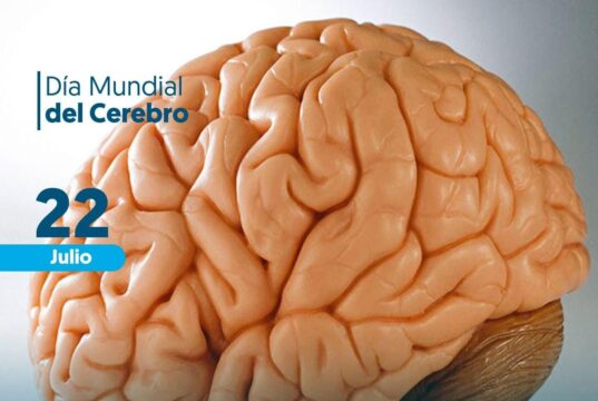 enfermedades neurodegenerativas